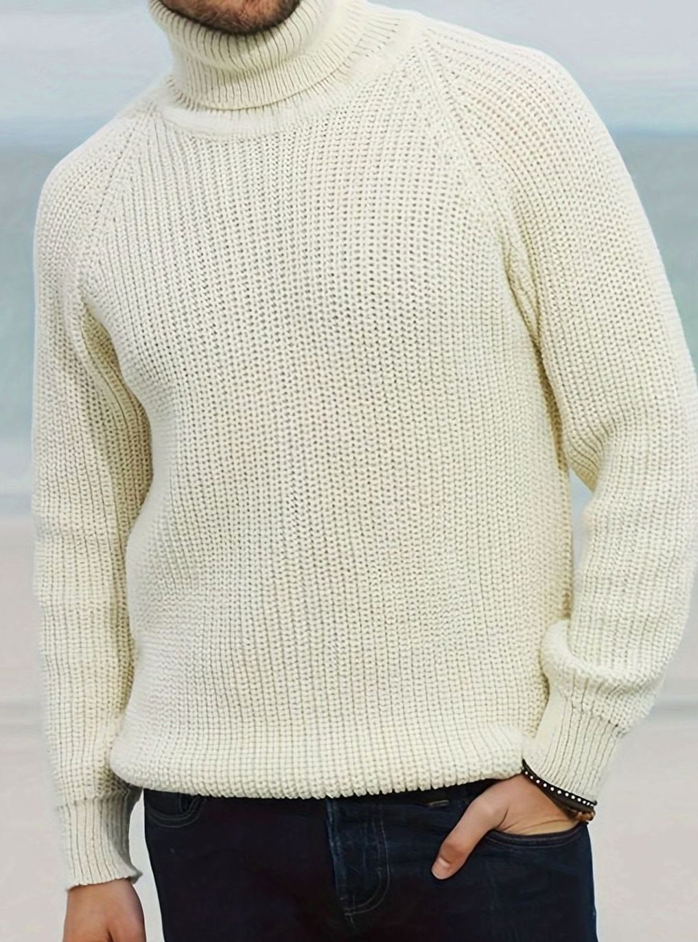 Men's Chunky Knit Rollneck Turtleneck Pullover Jumper