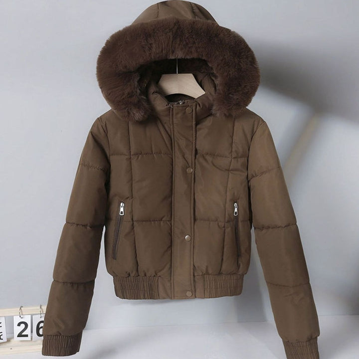 Women's Cropped Faux Fur Hood Padded Bomber Jacket - Brown